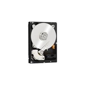 Ernitec HDD-1000GB Interne Festplatte 3.5  Serial ATA III (HDD-1000GB) von Seagate