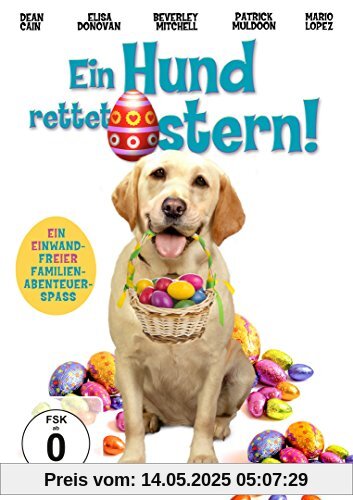 Ein Hund rettet Ostern Ein Hund rettet Ostern von Sean Olson