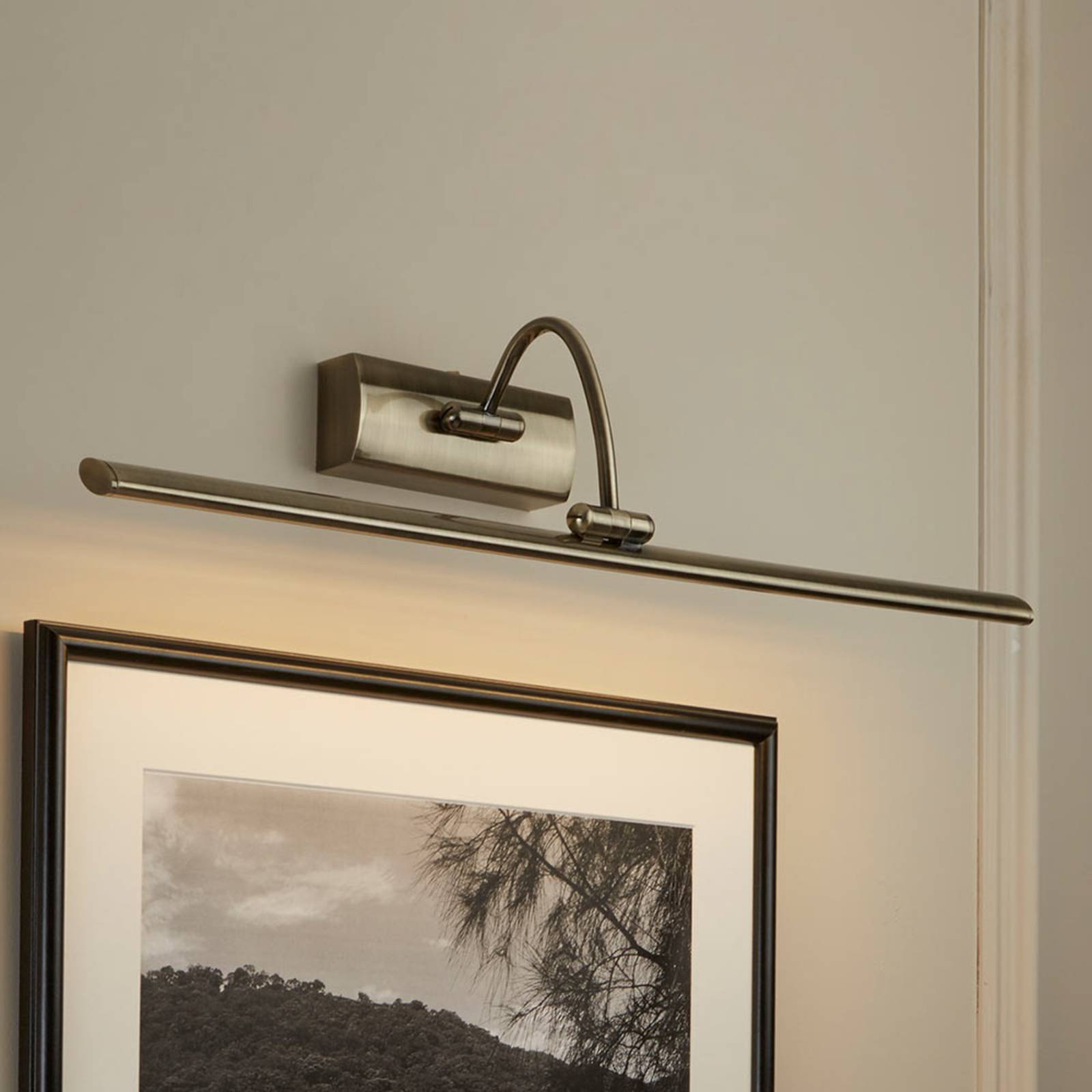 LED-Bilderleuchte Head m. verstellbarem Kopf, 64cm LED-Bilderleuchte Head m. verstellbarem Kopf, 64cm von Searchlight