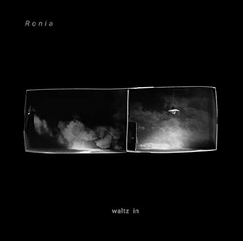Waltz in [Vinyl LP] von Seayou Records (Rough Trade)