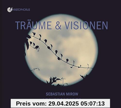 Träume & Visionen - Poetische Reise durch eine wundersame Nacht von Sebastian Mirow