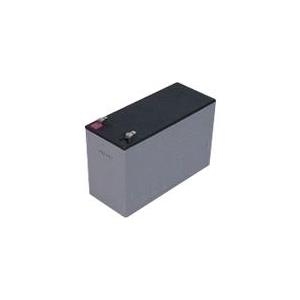 Spezialbatterie für USV 12V 09Ah (19.49.1209) von Secomp