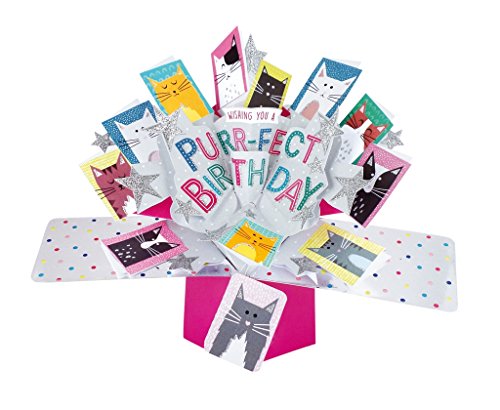 Suki Gifts POP133 Pop Up Grusskarte, Purr-fect Birthday Katzen/Geburtstag, mehrfarbig von Second Nature Pop Ups