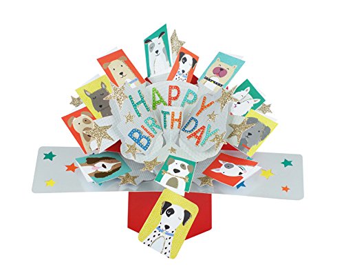 Suki Gifts POP137 Pop Up Grusskarte Happy Birthday Hunde/Geburtstag, mehrfarbig von Second Nature Pop Ups