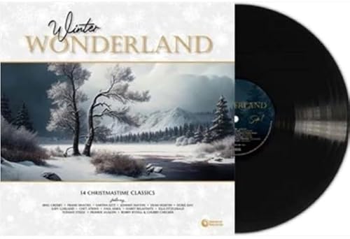 Winter Wonderland [Vinyl LP] von SECOND RECORDS