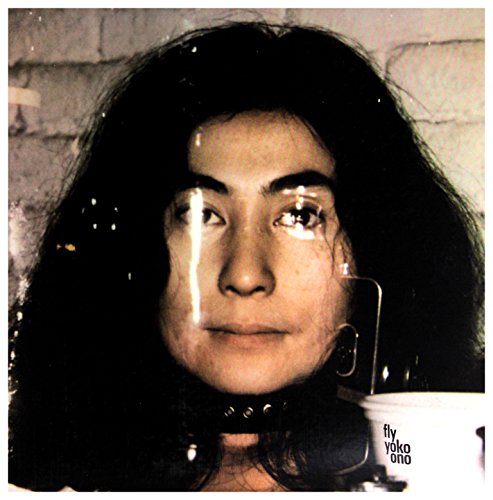 Fly [Vinyl LP] von Secretly Canadian