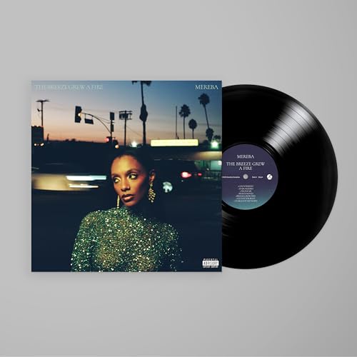 The Breeze Grew a Fire [Vinyl LP] von Secretly Canadian