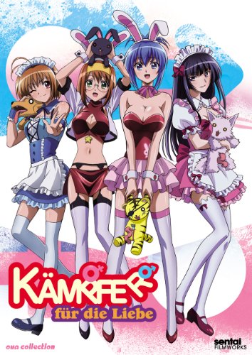 Kampfer Fur Die Liebe [DVD] [Region 1] [NTSC] [US Import] von Section23 Films