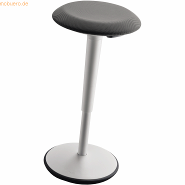 Sedus Sitzhocker se:fit sf-905/120 lichtgrau Sedus Sitzhocker se:fit sf-905/120 lichtgrau von Sedus