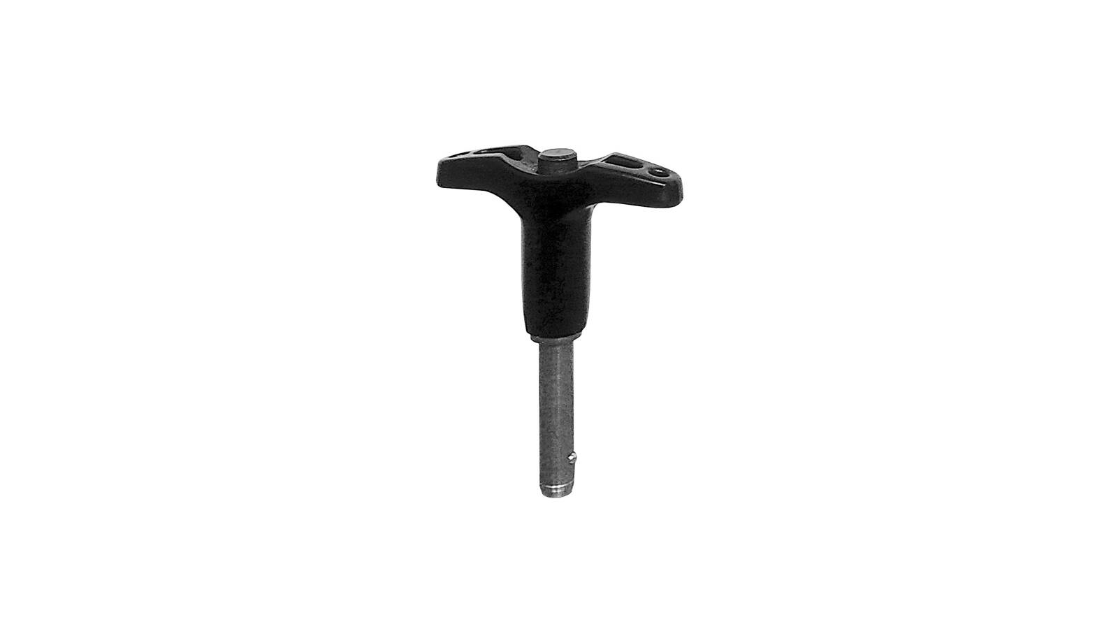 Seeburg Ball Lock Pin for flying frame Galeo S, Ø 6x20 mm Seeburg Ball Lock Pin for flying frame Galeo S, Ø 6x20 mm von Seeburg