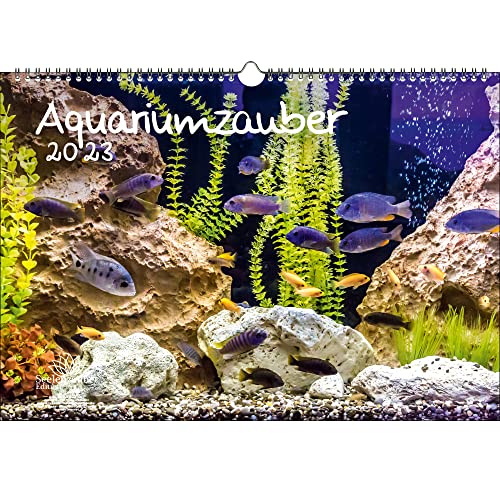 Aquarium Magie Kalender A3 für Tiere 2023 im Aquarium und unter Wasser inkl. Seelenzauber von Seelenzauber
