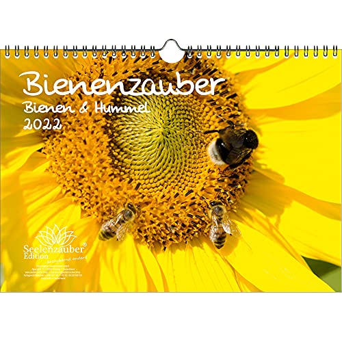 Bienenzauber Bienen und Hummeln DIN A4 Kalender für 2022 - Seelenzauber von Seelenzauber