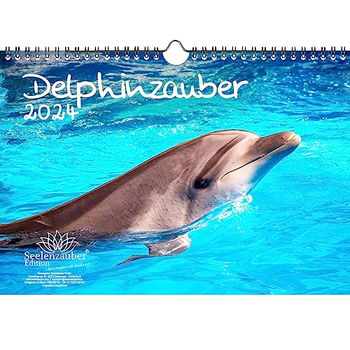 Delphinzauber DIN A4 Kalender für 2024 Delfin Delphin - Seelenzauber von Seelenzauber
