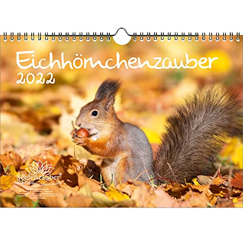 Eichhörnchenzauber DIN A4 Kalender für 2022 Eichhörnchen - Seelenzauber von Seelenzauber