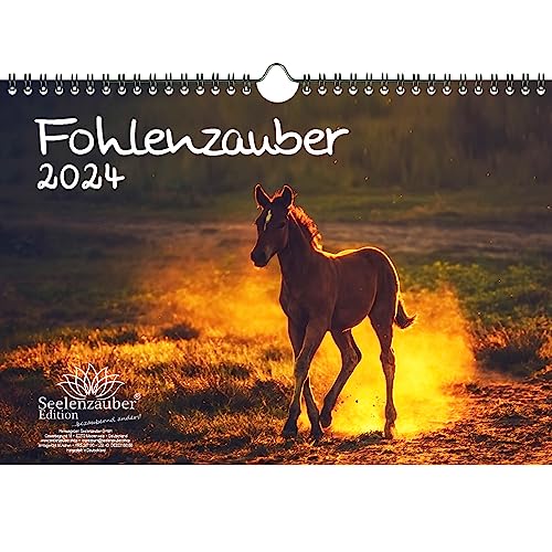 Fohlenzauber DIN A4 Kalender für 2024 Pferde und Fohlen - Seelenzauber von Seelenzauber