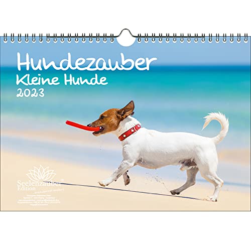 Hundezauber Kleine Hunde DIN A4 Kalender für 2023 Welpen und kleine Hunde - Seelenzauber von Seelenzauber