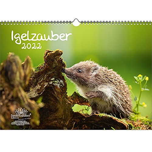 Igelzauber DIN A3 Kalender für 2022 Igel - Seelenzauber von Seelenzauber