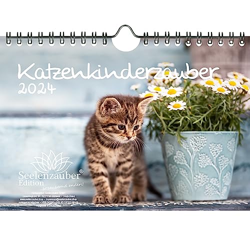 Katzenkinderzauber DIN A5 Wandkalender für 2024 Katzenkinder Katzenbabys - Seelenzauber von Seelenzauber
