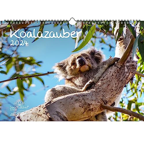 Koalazauber DIN A3 Kalender für 2024 Koalabären, Koala - Seelenzauber von Seelenzauber