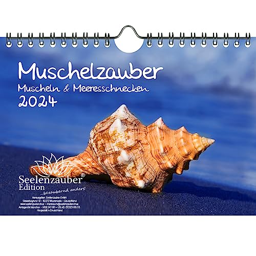 Muschelzauber DIN A5 Wandkalender für 2024 Muscheln und Meer - Geschenkset Inhalt: 1x Kalender, 1x Weihnachts- und 1x Grußkarte (insgesamt 3 Teile) von Seelenzauber