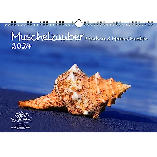 Muschelzauber Muscheln DIN A3 Kalender für 2024 Muscheln Meer Strand - Seelenzauber von Seelenzauber