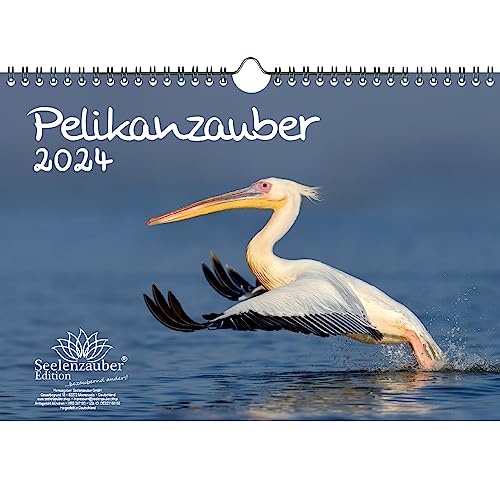 Pelikanzauber DIN A4 Kalender für 2024 Pelikan - Seelenzauber von Seelenzauber