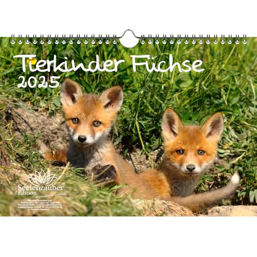 Tierkinder Füchse DIN A4 Kalender für 2025 Fuchs und Füchse - Set Inhalt: 1x Kalender 1x Weihnachtsanhänger 1x Grußanhänger (gesamt 3 Teile) von Seelenzauber