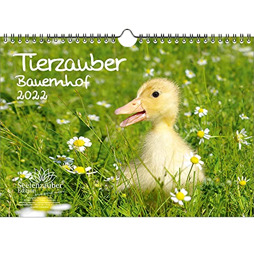 Tierzauber Bauernhof DIN A4 Kalender für 2022 verschiedene Tiere auf dem Bauernhof - Seelenzauber von Seelenzauber