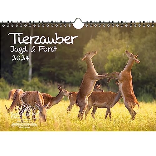 Tierzauber Jagd & Forst DIN A4 Kalender für 2024 - Seelenzauber von Seelenzauber