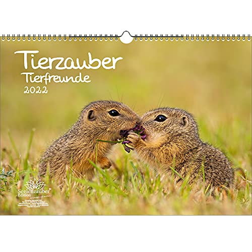 Tierzauber Tierfreunde DIN A3 Kalender für 2022 verschiedene Tiere und ihre Freundschaften - Seelenzauber von Seelenzauber