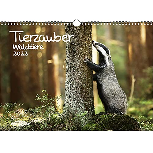 Tierzauber Waldtiere DIN A3 Kalender für 2022 Tiere im Wald - Seelenzauber von Seelenzauber