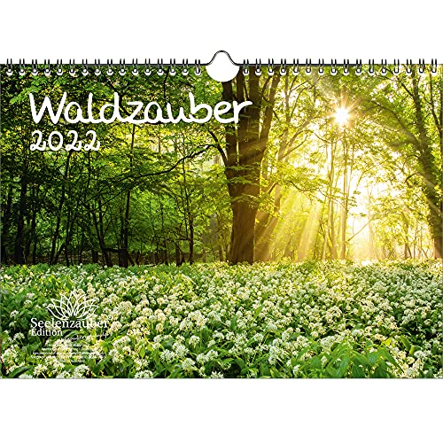 Waldzauber DIN A4 Kalender für 2022 Wald - Seelenzauber von Seelenzauber