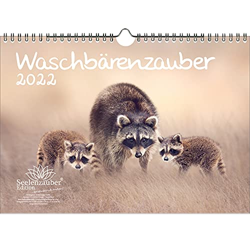 Waschbärenzauber DIN A4 Kalender für 2022 Waschbären - Seelenzauber von Seelenzauber