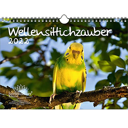 Wellensittichzauber DIN A4 Kalender für 2022 Wellensittiche - Seelenzauber von Seelenzauber