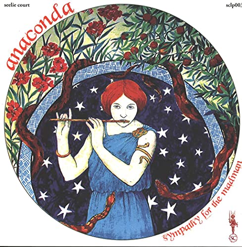 Sympathy For The Madman [Vinyl LP] von Seelie Court