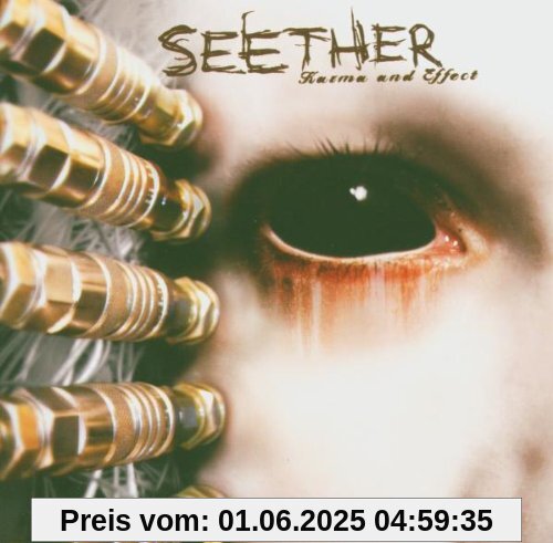 Karma & Effect von Seether