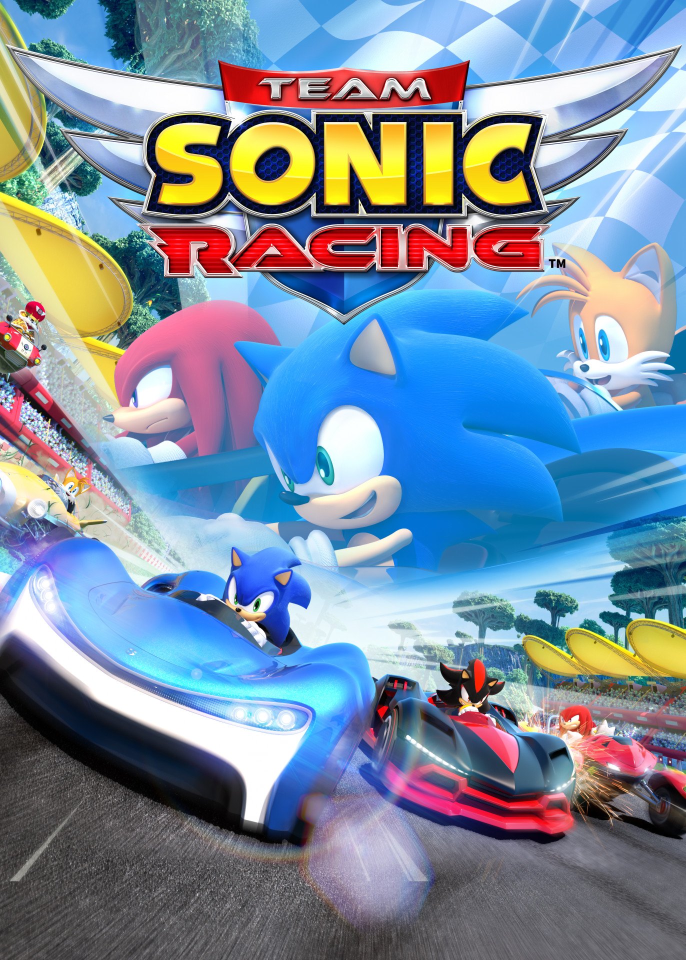 Team Sonic Racing von Sega