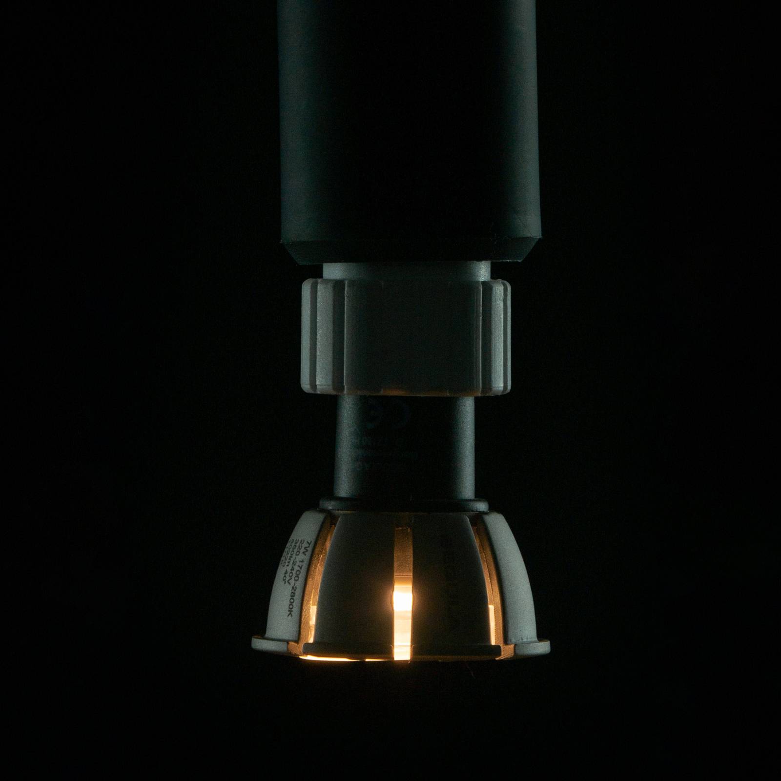 GU10 7W LED-Reflektor 40° Ra95 ambient dimming GU10 7W LED-Reflektor 40° Ra95 ambient dimming von Segula