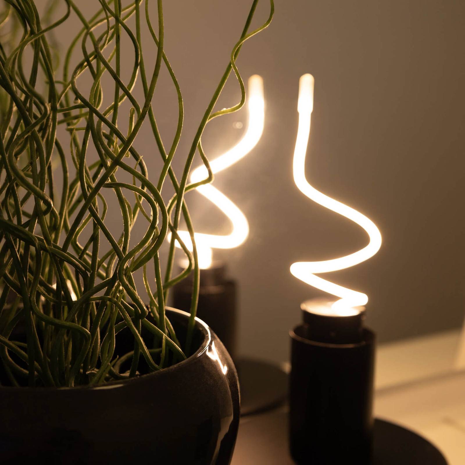SEGULA LED-Leuchtmittel Artline Flexi, E14, 4 W, 922 dim SEGULA LED-Leuchtmittel Artline Flexi, E14, 4 W, 922 dim von Segula