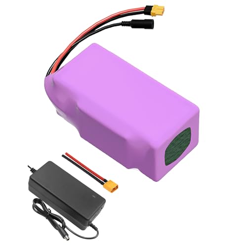 Mit Ladegerät 14Ah 6S4P 24V Batterie E-Bike E-Bike Elektrofahrrad Li-Ion anpassbar 120x90x70mm akku von Seilylanka