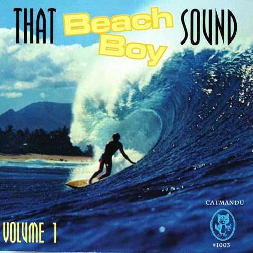 That Beach Boy Sound, Vol. 1 That Beach Boy Sound, Vol. 1 von Select O Hits