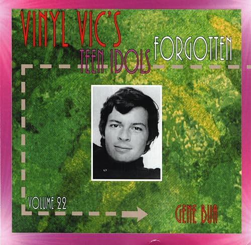 Vinyl Vic's Forgotten Teen Idols von Select O Hits