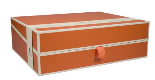 Semikolon 352588 Dokumentenbox – Aufbewahrungs-Box für Dokumente A4 – 31,5 x 26 x 10 cm – orange orange von Semikolon