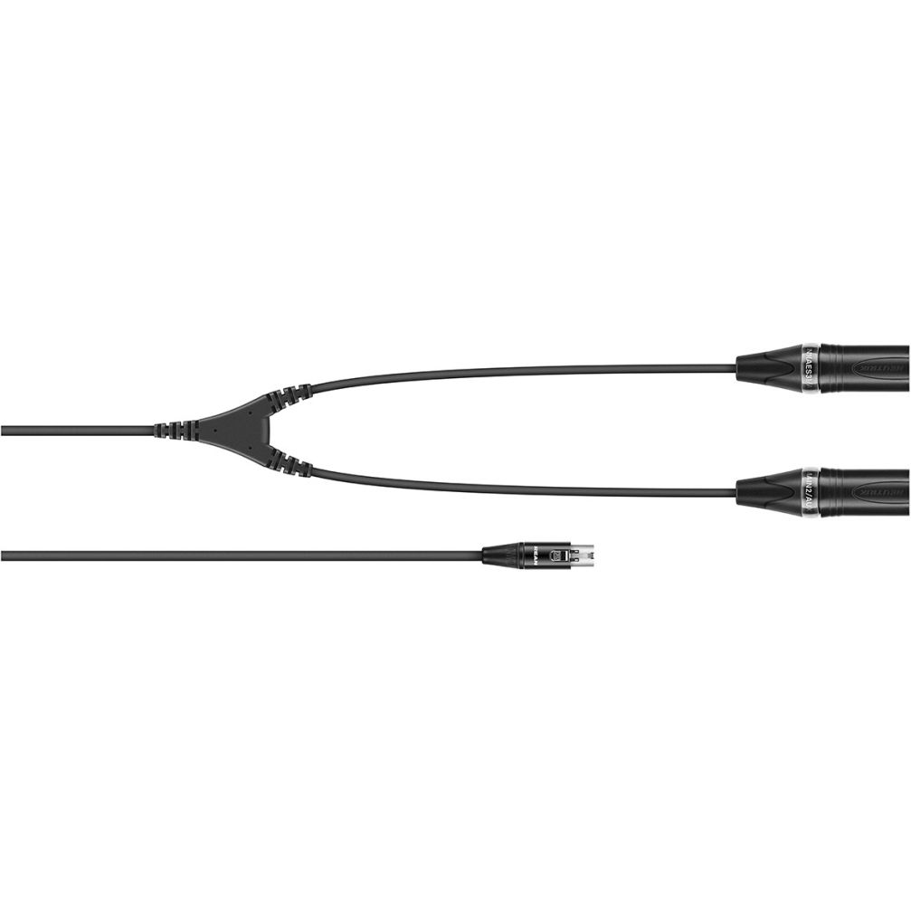 Sennheiser CA 6042 XLR Adapterkabel Mini- XLR-5 auf 2 x XLR-3 von Sennheiser