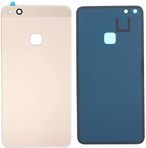 Kompatibel mit Huawei P10 LITE/WAS-LX1 WAS-LX1A Ersatz-Akkudeckel aus Glas Rückseite Back Rear Rückseite komplett doppelseitiges Klebeband + Kameraobjektiv (Gold) von Senza Marchio