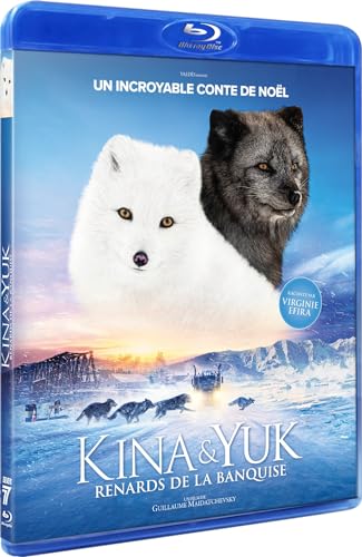 Kina et yuk : renards de la banquise [Blu-ray] [FR Import] von Seven7