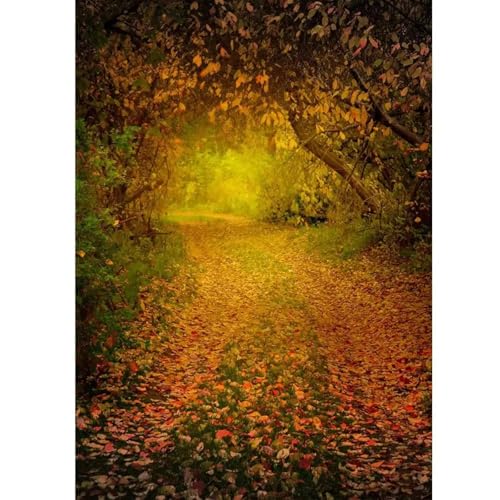 Dusky Pathway Vinyl Fotografische Hintergründe für Baby Kinder Hintergrund Foto Studio Photobooth Foto Schießen Photophone 150cmx100cm von ShaHxczkzsL