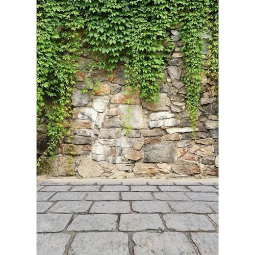 Fotografischer Hintergrund Grüne Blätter Steinmauer Boden Vinyl Tuch Hintergrund für Fotostudio Kinder Handwerk Spielzeug Photophone 240cmx180cm von ShaHxczkzsL