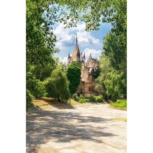 Fotohintergründe Vintage Schloss Bäume Vinyl Tuch Landschaft Hintergründe Fotografie Requisiten für Kinder Baby Portrait Foto-Shooting 150cmx100cm von ShaHxczkzsL