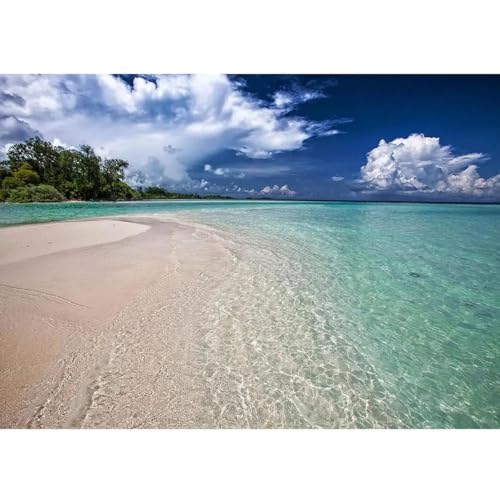 Strand, Meer, Blauer Himmel, Vinyl, Porträt, Fotohintergründe für Hochzeiten, Liebhaber, Baby-Hintergründe, Fotostudio, Fotoshooting 150cmx100cm Strand, Meer, Blauer Himmel, Vinyl, Porträt, Fotohintergründe für Hochzeiten, Liebhaber, Baby-Hintergründe, Fotostudio, Fotoshooting 150cmx100cm von ShaHxczkzsL